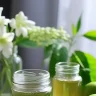 Top 5 kuppaimeni benefits for face and hair acalypha indica reviews