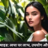 नियासिनामाइड: त्वचा पर लाभ, उपयोग और बहुत कुछ | Niacinamide Body Lotion Side Effects